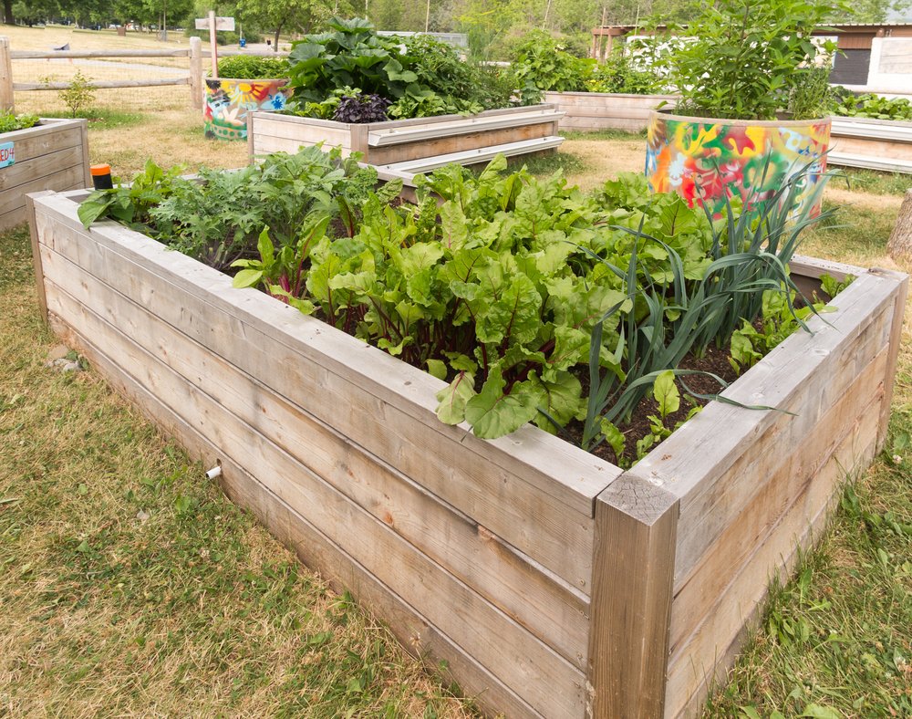 Moestuinbak per stuk